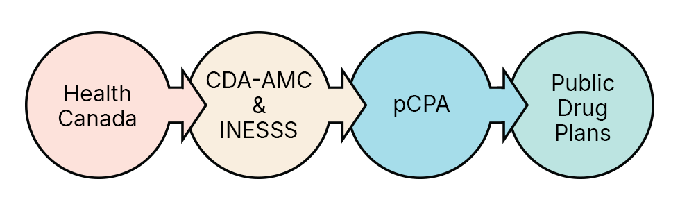 Flow of the process through: Health Canada, CDA and INESSS, pCPA, and Public Drug plans