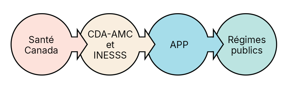 Déroulement du processus à travers : Santé Canada, CDA-AMC et INESSS, l'APP et les régimes publics d'assurance-médicaments